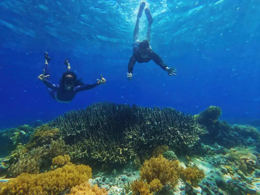 Snorkelling and diving in the clear waters of the Semporna near Sea Star Resort